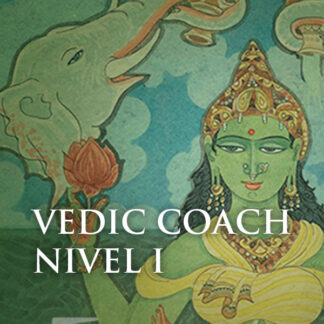 vedic coach nivel 1