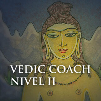 vedic coach nivel 2