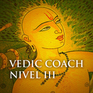 vedic coach nivel 3